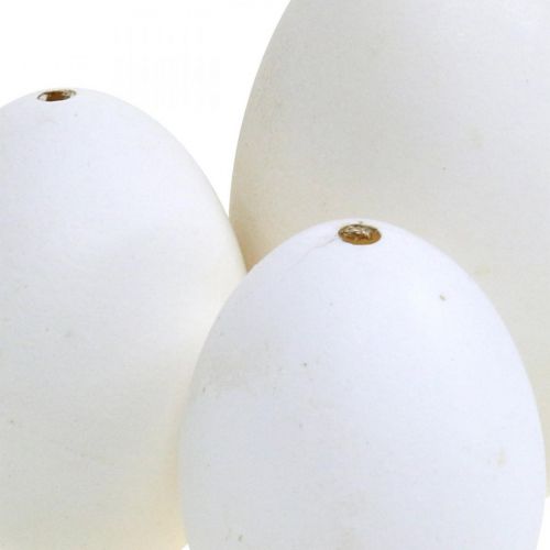 Article Mélange d'œufs de cygne et d'œufs de poule blancs soufflés 5,5/8 cm 9 pièces