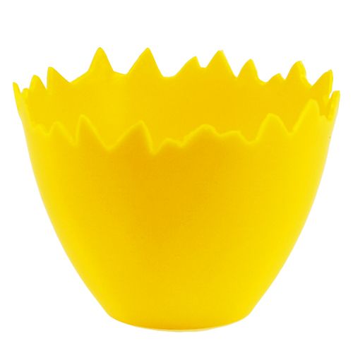 Floristik24 Coquetiers Ø17cm 20 pcs jaune