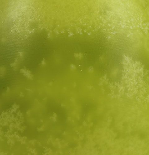 Article Bougie oeuf déco citron vert 14cm