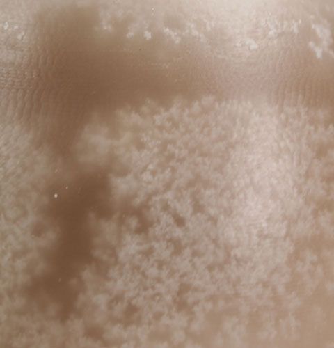 Floristik24 Bougie décorative œuf Sahara 14cm