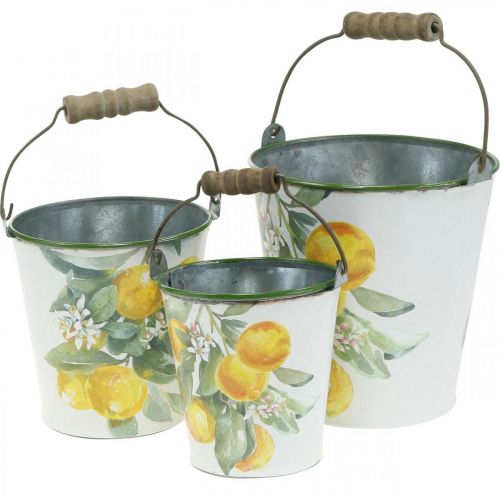 Floristik24 Seau décoratif citrons Jardinière méditerranéenne Ø13,5/11/9cm H14/11,5/cm lot de 3