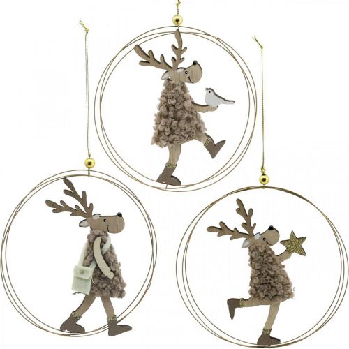 Floristik24 Renne à suspendre, pendentif de Noël, décoration de l&#39;Avent dans un anneau Ø15cm lot de 3