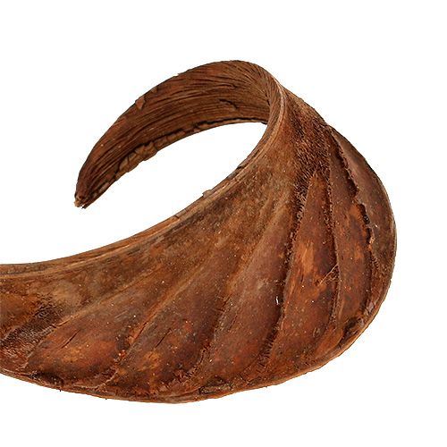 Article Oreille d&#39;Éléphant Naturel 25 pcs