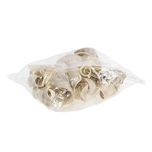 Article Oreille d'éléphant blanchie 25 pcs