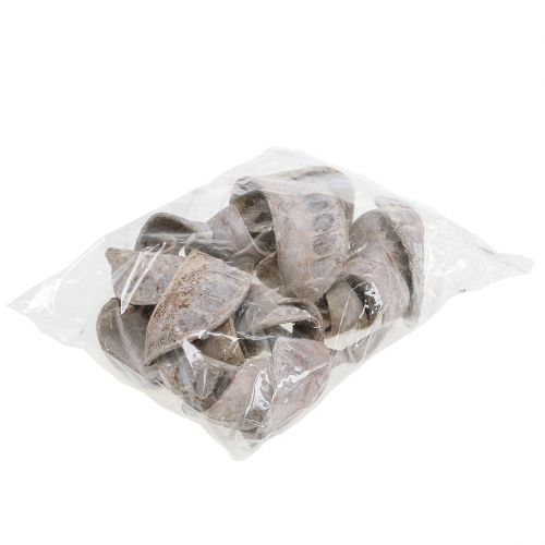 Article Oreille d&#39;Éléphant Blanc lavé 25 pcs