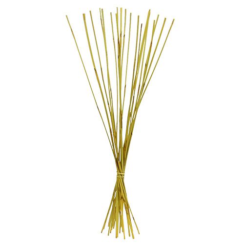 Floristik24 Bâtons décoratifs, Roseau Éléphant Jaune 20 pcs