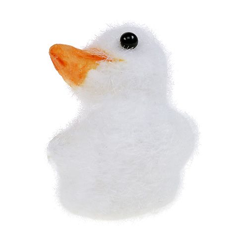 Floristik24 Petit canard floqué 4cm Blanc 12P