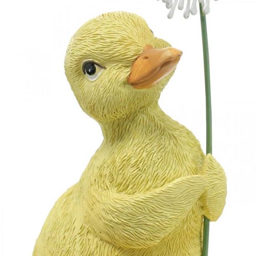Floristik24 Décoration printanière, canetons au pissenlit, figurine décorative H13,5cm