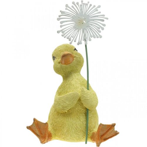 Floristik24 Décoration printanière, canetons au pissenlit, figurine décorative H13,5cm