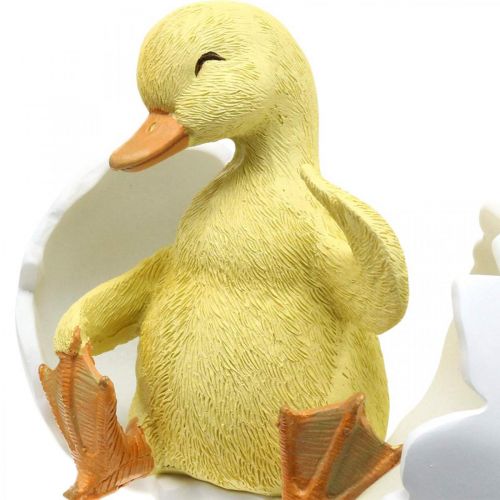 Floristik24 Poussin éclos, figure de canard, caneton dans l&#39;oeuf H10cm W12.5cm