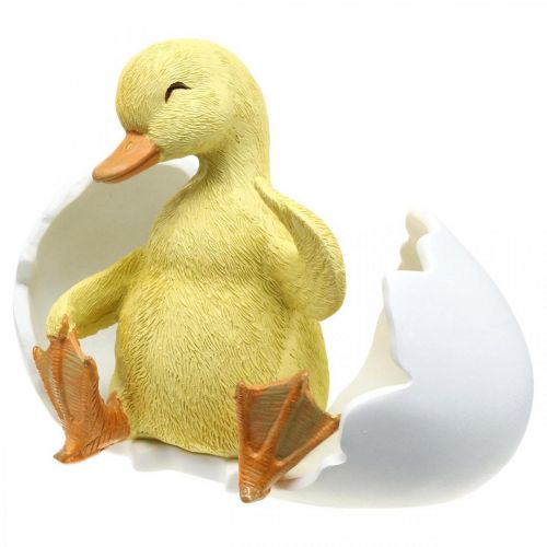 Floristik24 Poussin éclos, figure de canard, caneton dans l&#39;oeuf H10cm W12.5cm
