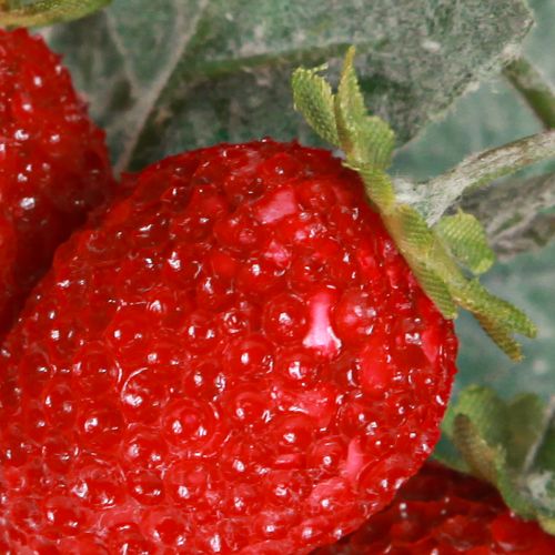 Article Fraises artificielles décoratives L23cm Bouquet de 6 tiges