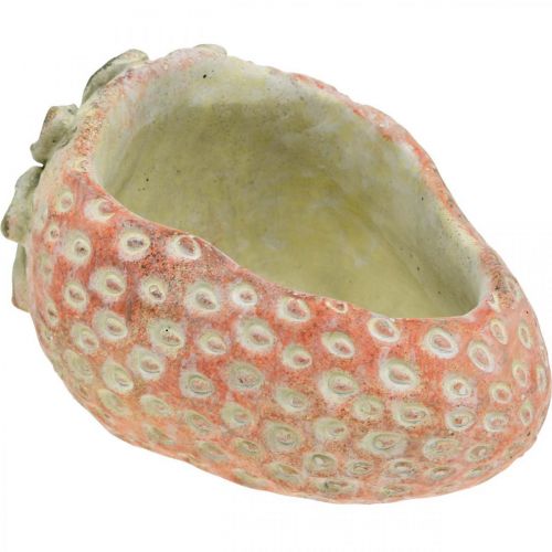 Fraise décorative, cache-pot, décoration en béton à planter L17cm