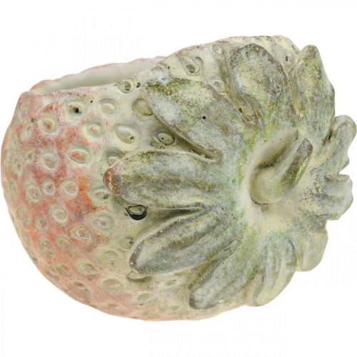 Article Fraise décorative, cache-pot, décoration en béton à planter L17cm