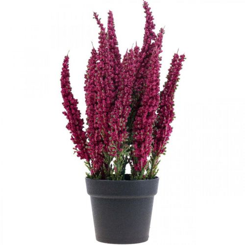 Floristik24 Erika violet bruyère genêt bruyère plante artificielle H26cm