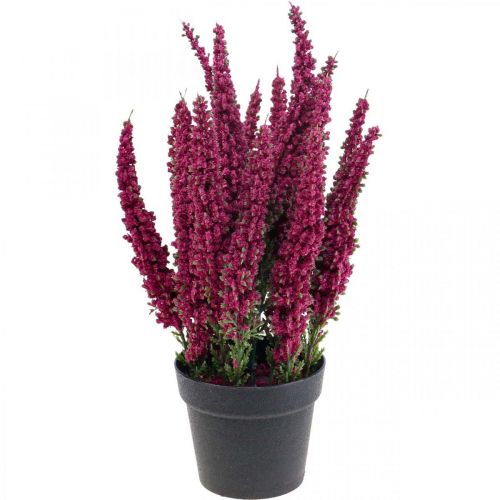 Floristik24 Erika violet bruyère genêt bruyère plante artificielle H26cm