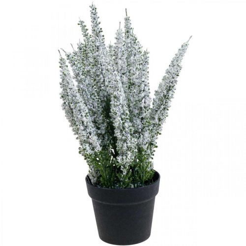 Floristik24 Erika blanc bruyère genêt bruyère plante artificielle H26cm