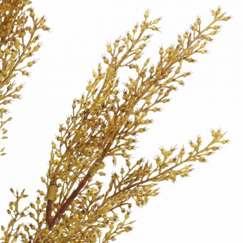 Article Branche de bruyère déco, jaune chiné, marron H50cm