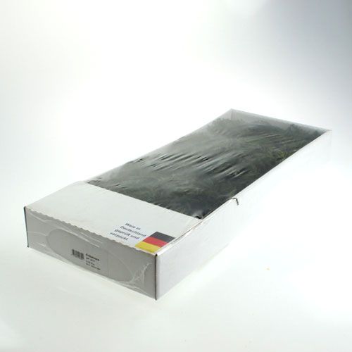 Floristik24 Erikamoos vert 750gr