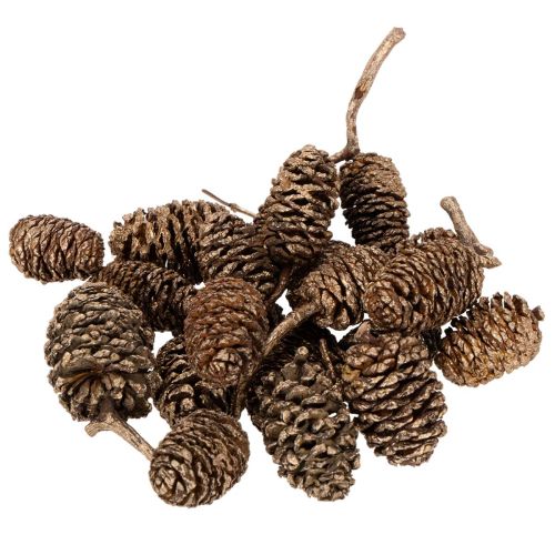 Cônes d'aulne, produit naturel pour la décoration et les loisirs créatifs, dorés, 3 cm, 300 g