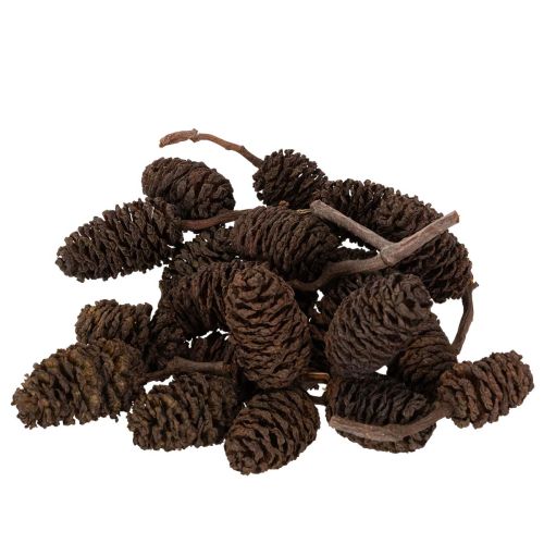 Cônes d'aulne naturels, en vrac, pour la décoration, 3 cm, 300 g, brun naturel.