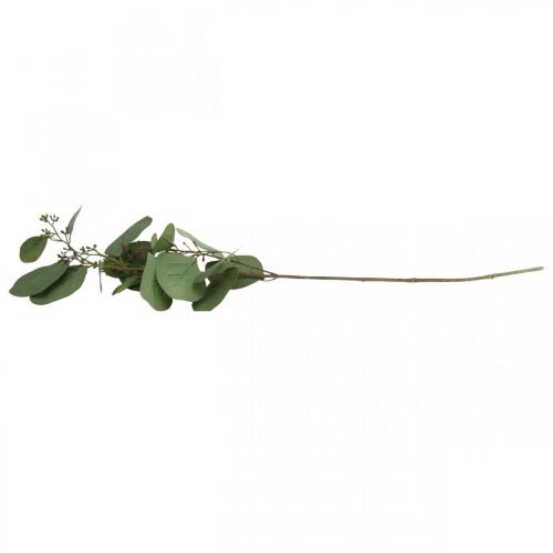 Floristik24 Branche artificielle déco eucalyptus avec bourgeons plante artificielle 60cm