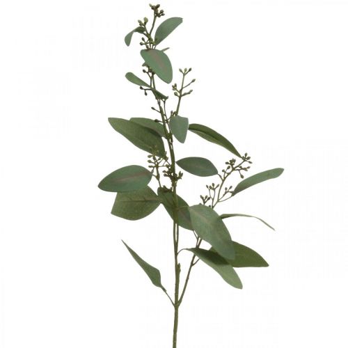 Floristik24 Branche d'eucalyptus artificielle avec bourgeons déco branche 60cm