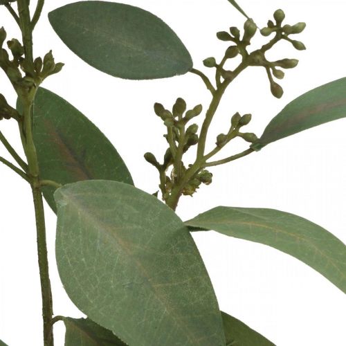Floristik24 Branche d'eucalyptus artificielle avec bourgeons déco branche 60cm