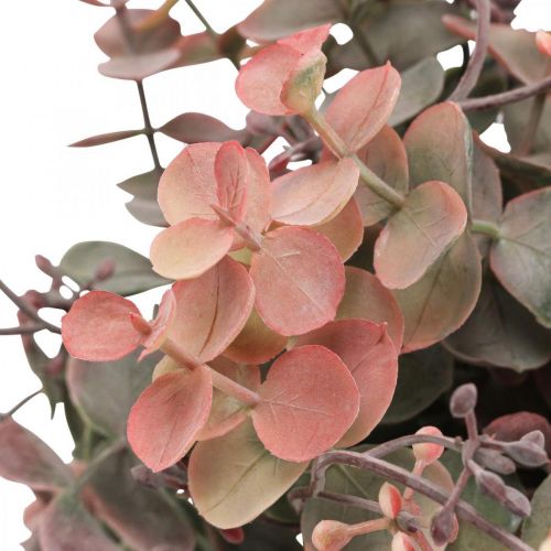 Floristik24 Eucalyptus Buisson Eucalyptus Artificiel Rouge Vert 25cm 3pcs