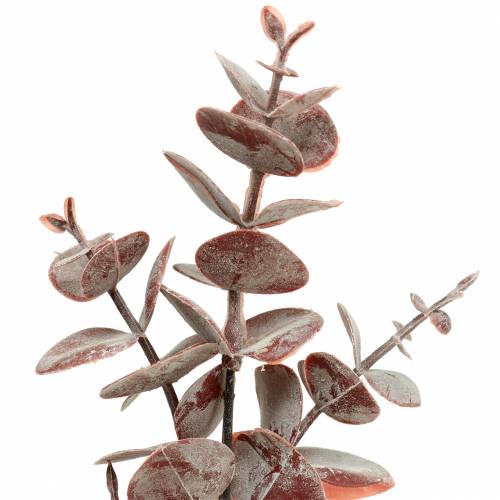 Floristik24 Eucalyptus artificiel Bourgogne 32cm Plante artificielle comme la vraie !