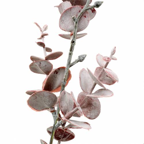 Article Branche d&#39;Eucalyptus Artificielle Bordeaux 55cm