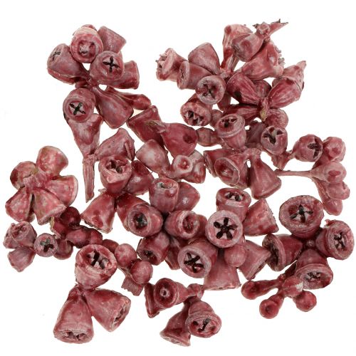 Floristik24 Fruits d’eucalyptus cirés rouges 250 g