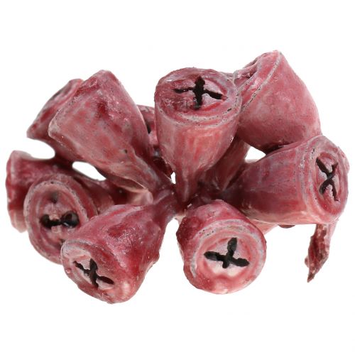 Floristik24 Fruits d’eucalyptus cirés rouges 250 g