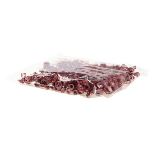 Floristik24 Fruits d’eucalyptus cirés rouges 250 g