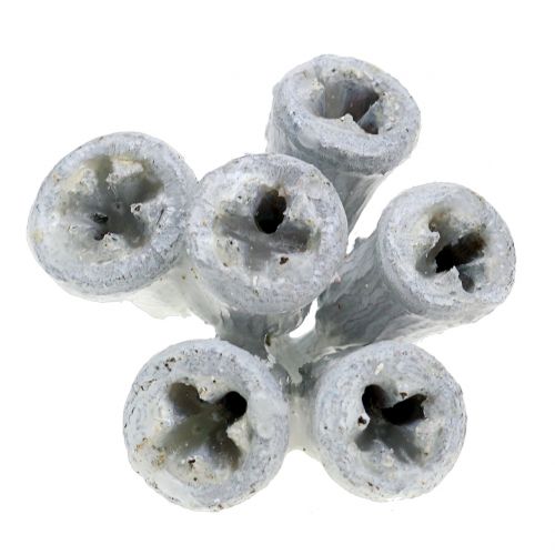 Floristik24 Fruits d’eucalyptus cirés blancs 250 g