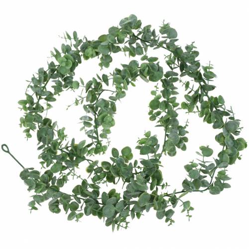 Floristik24 Guirlande Eucalyptus Vert 180cm