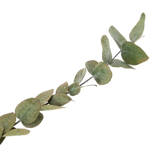Article Branches et feuilles décoratives d'eucalyptus séchées et stabilisées, rondes, 150 g