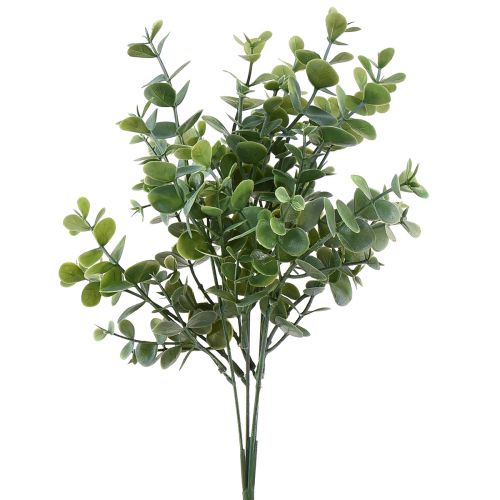 Floristik24 Décoration d&#39;eucalyptus plantes artificielles branches d&#39;eucalyptus 34cm