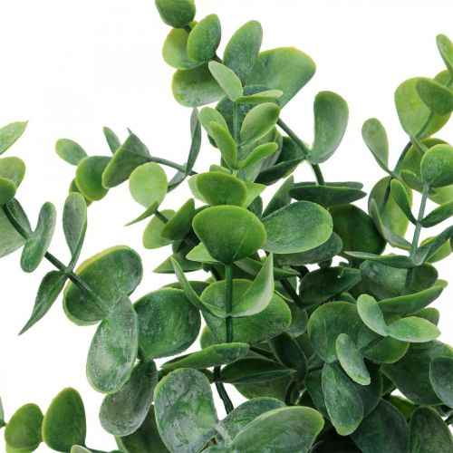 Floristik24 Eucalyptus artificiel branches d'eucalyptus plantes artificielles 38cm 3pcs