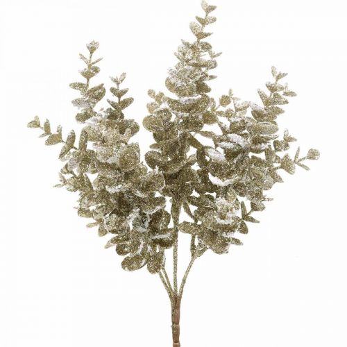 Floristik24 Branche d'eucalyptus artificielle dorée enneigée Eucalyptus décoration de Noël 36cm