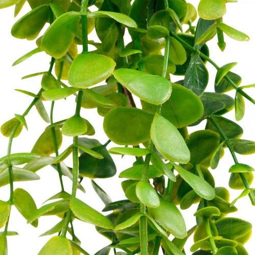 Floristik24 Décoration de mariage guirlande d&#39;eucalyptus vert artificiel 122cm