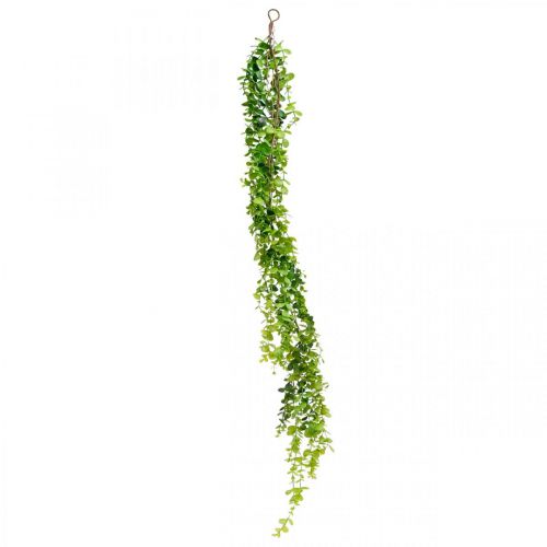 Floristik24 Décoration de mariage guirlande d&#39;eucalyptus vert artificiel 122cm