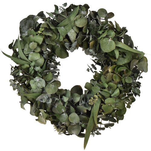 Article Couronne d&#39;eucalyptus couronne naturelle eucalyptus stabilisé Ø35cm