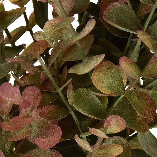 Article Couronne d'eucalyptus artificielle décoration d'automne eucalyptus Ø36cm