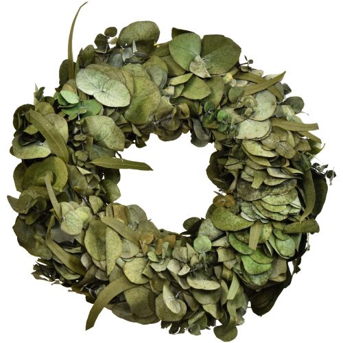 Floristik24 Couronne d'eucalyptus couronne naturelle eucalyptus stabilisé Ø35cm