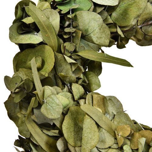 Floristik24 Couronne d'eucalyptus couronne naturelle eucalyptus stabilisé Ø35cm