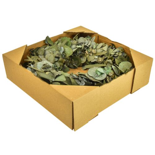Floristik24 Couronne d'eucalyptus couronne naturelle eucalyptus stabilisé Ø35cm