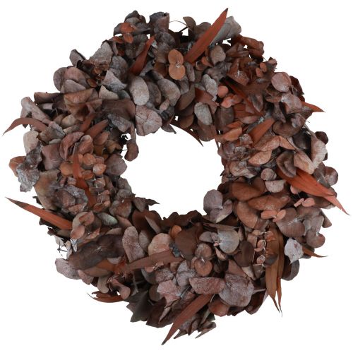 Floristik24 Couronne d&#39;eucalyptus couronne naturelle eucalyptus stabilisé rouge Ø33cm