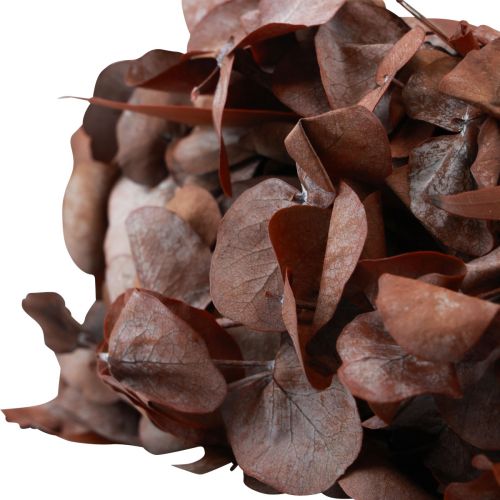Floristik24 Couronne d&#39;eucalyptus couronne naturelle eucalyptus stabilisé rouge Ø33cm