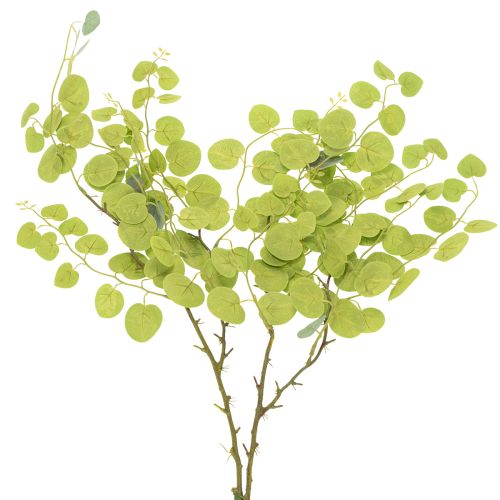 Article Branche d'eucalyptus décorative, idéale pour la décoration de table, 120 cm